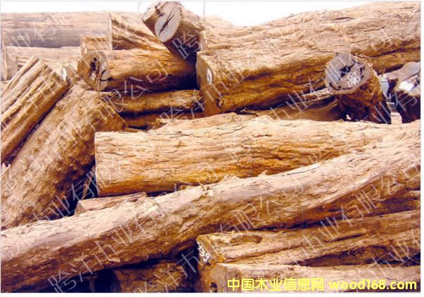 �������S̴